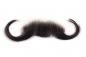 Preview: Moustache, long